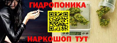 бошки Донецк
